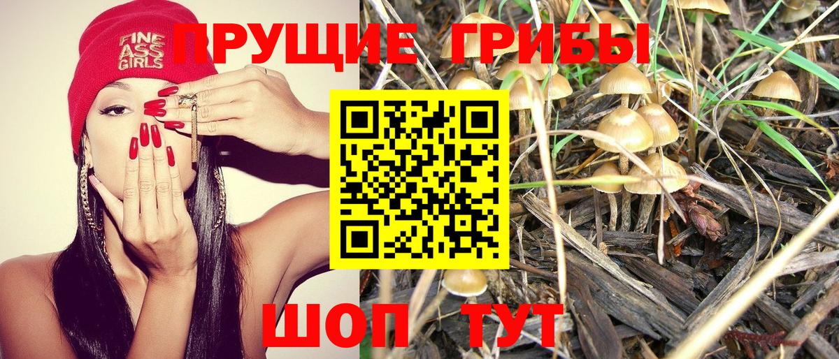 Псилоцибиновые грибы Magic Shrooms Новочеркасск